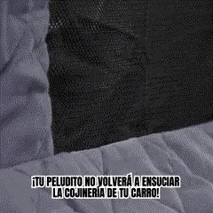 Cubre Asientos